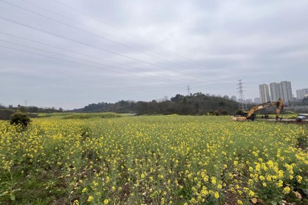 龍窩溝苗圃項(xiàng)目正式開工 助力瀘州打造生態(tài)宜居城市